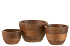 J-Line kom Kota Acacia - hout - naturel - large