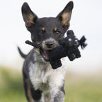 Casanova de kat - cultspeelgoed voor honden