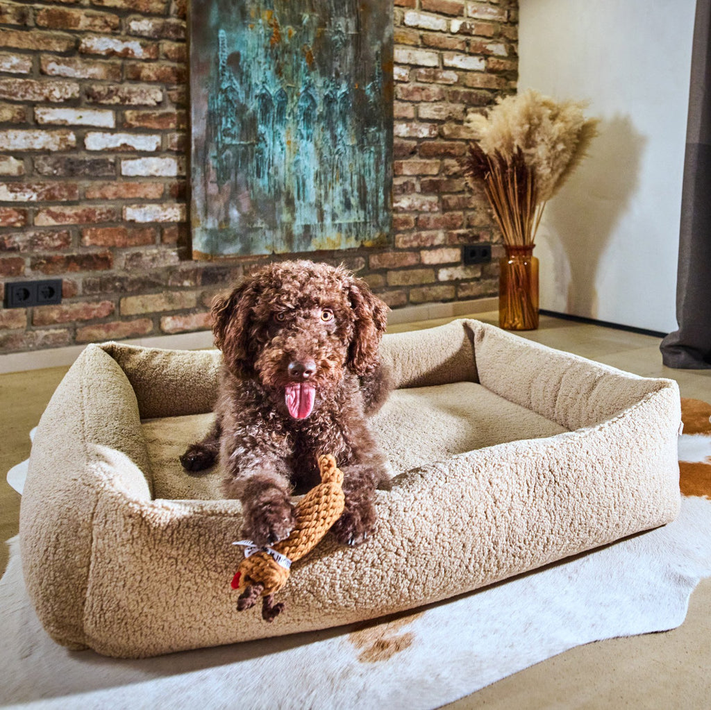 Rudi Rendier - cultspeelgoed voor honden
