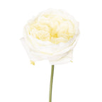 Kunstbloem Roos 35 cm Wit Kunststof