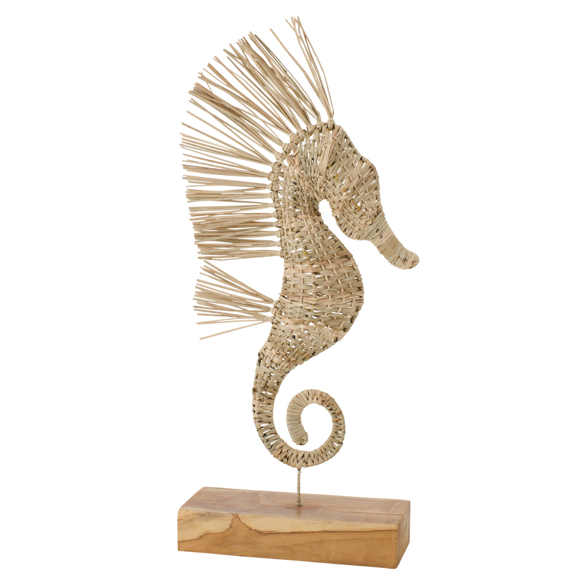 J-Line decoratie Zeepaard Op Voet - gras - naturel - L