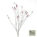 Sanguisorba L109cm Magenta