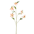 J-Line bloem Gloriosa - textiel - abrikoos