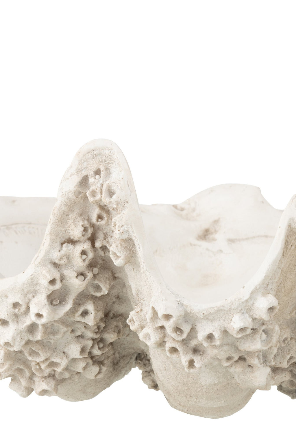 J-Line decoratie Sierschaal Zeeschelp - polyresin - gebroken wit - S