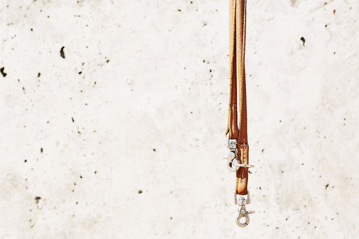 Amici - Elegante ronde riem voor modebewuste hondenliefhebbers