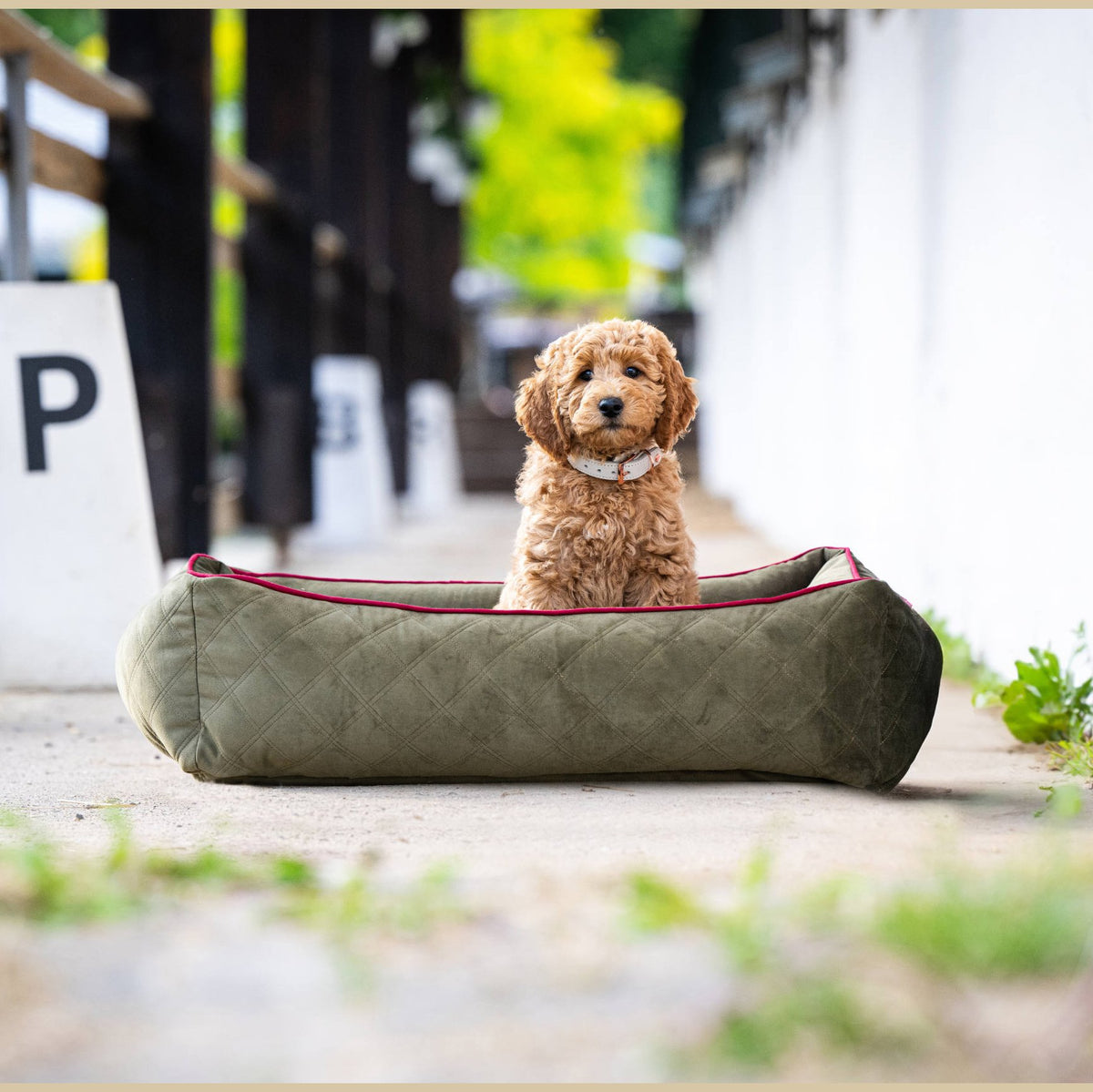 Oxford I Klassieke Hundebett