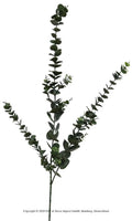 Eucalyptustak 103cm groen