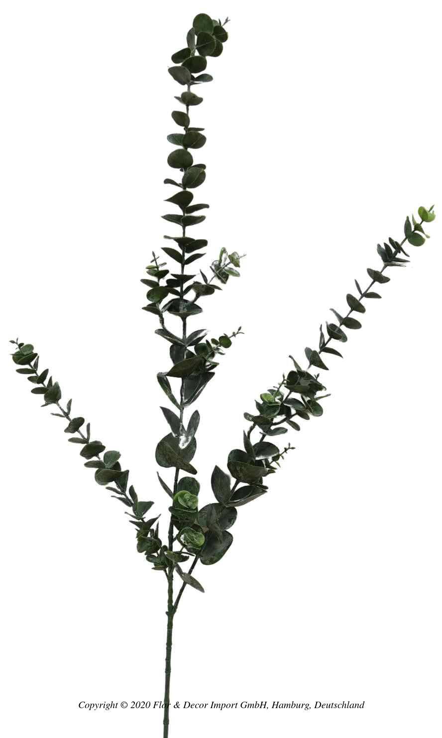 Eucalyptustak 103cm groen