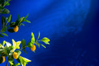 J-Line Citroenboom Pot Kunstmatig Groen Large