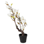 Kunstplant Magnolia 16x14x60 cm Wit Kunststof
