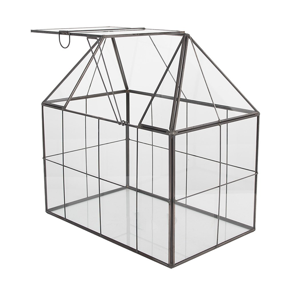 Decoratie KweekKastje 25x16x26 cm transparant metaal