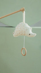 Hedgehog Muzikale Mobiel