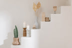 J-Line Cactus 3 Stuks In Pot Kunststof Groen Klein