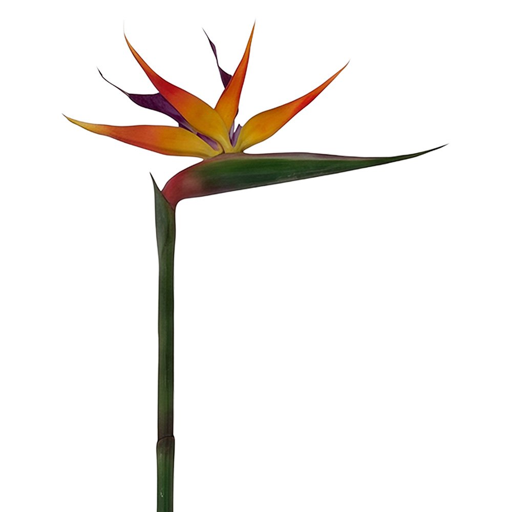 Kunstbloem Oranje Kunststof