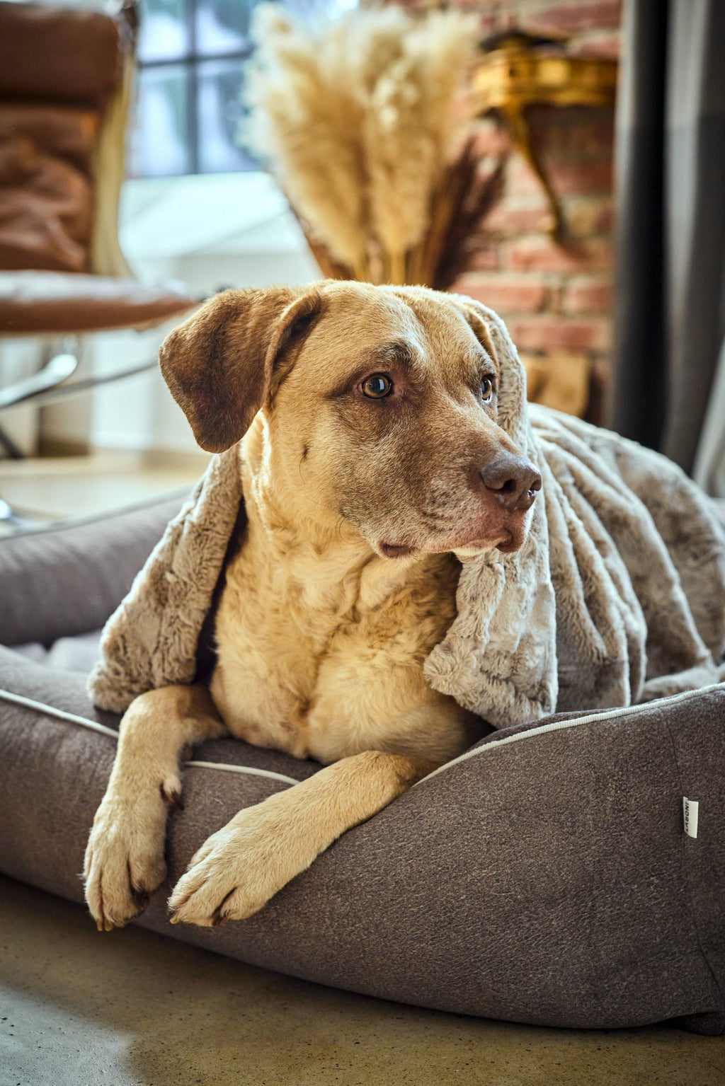 Cosy knuffeldeken voor honden