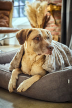 Cosy knuffeldeken voor honden