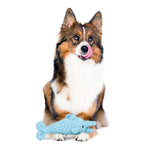 Didi Delfin - cultspeelgoed voor honden