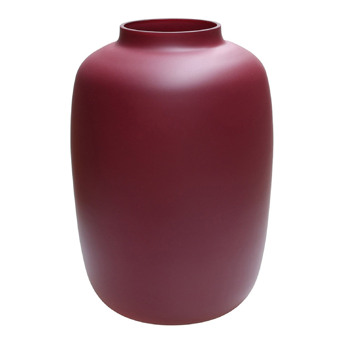 Vaas - Artic matte violet