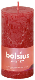 Shine rustiekkaars 100/50 Delicate Red