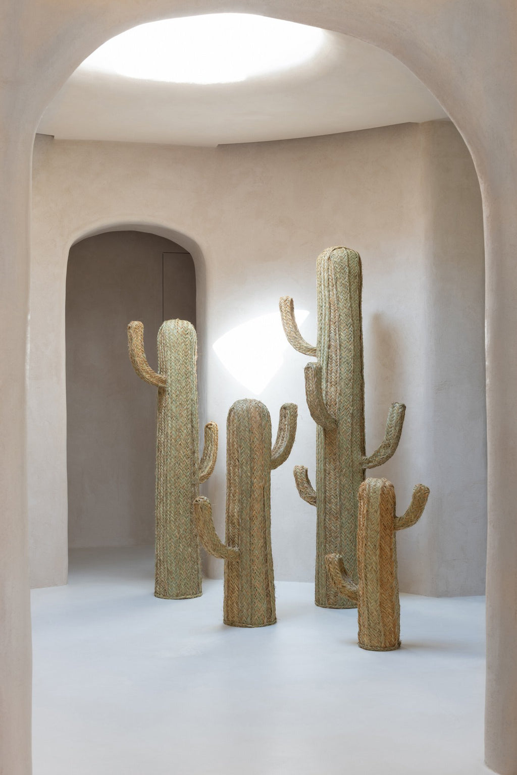 J-Line decoratie Cactus - riet - naturel - L