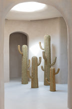 J-Line decoratie Cactus - riet - naturel - L