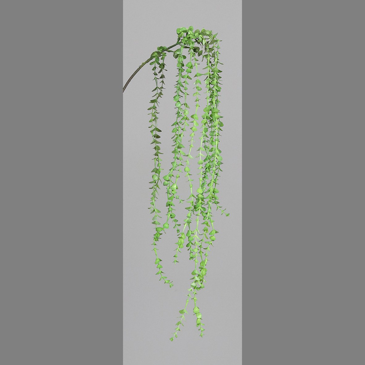 Eucalyptushanger groen 90 cm