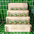 Mini kikkertjes in stolpje
