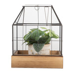 Decoratie KweekKastje 26x17x32 cm transparant Glas