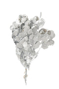 J-Line Droogbloemen Eucalyptus - Rieten - Zilver