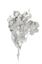 J-Line Droogbloemen Eucalyptus - Rieten - Zilver