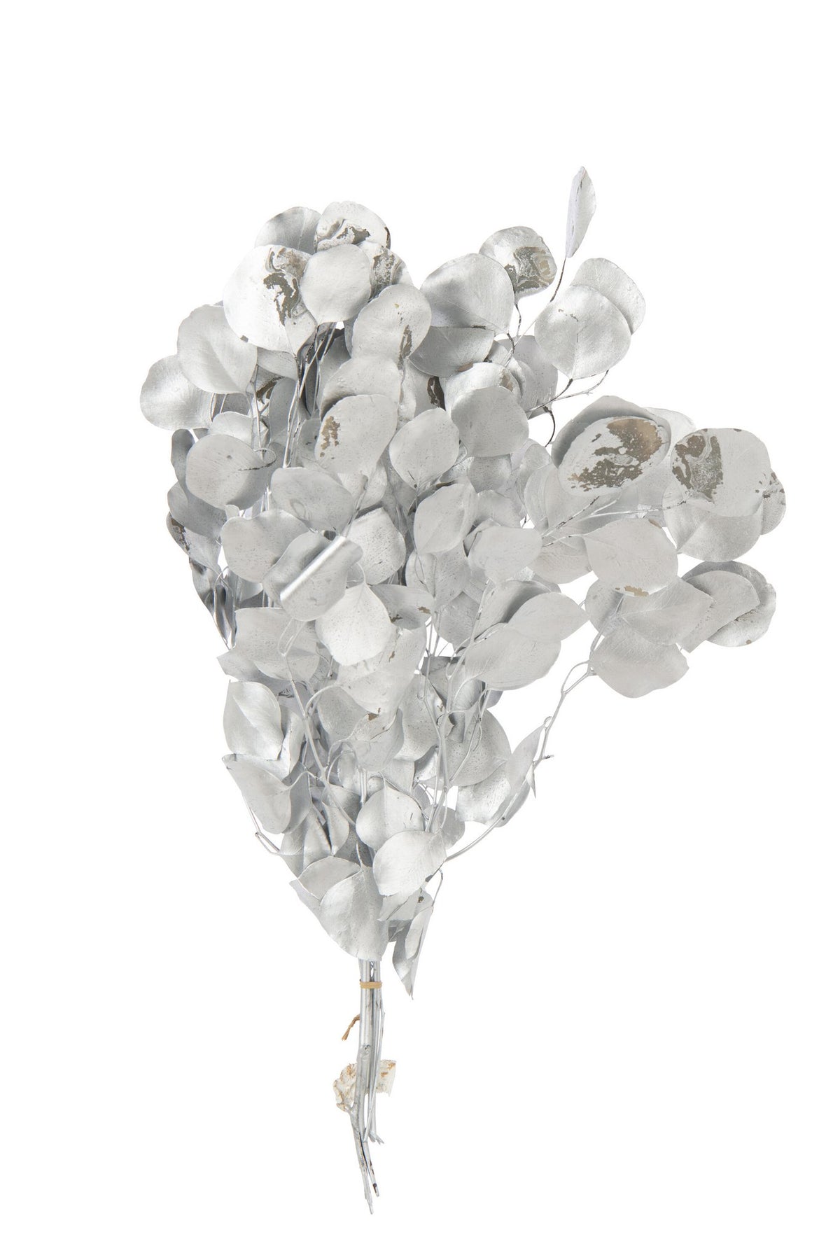 J-Line Droogbloemen Eucalyptus - Rieten - Zilver