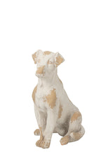 J-Line Hond voor buiten - magnesium - ecru/beige