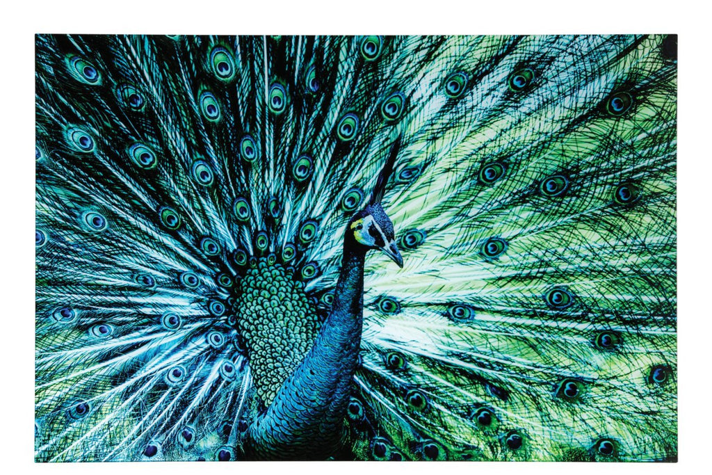 J-Line Wanddecoratie pauw - glas - blauw/groen