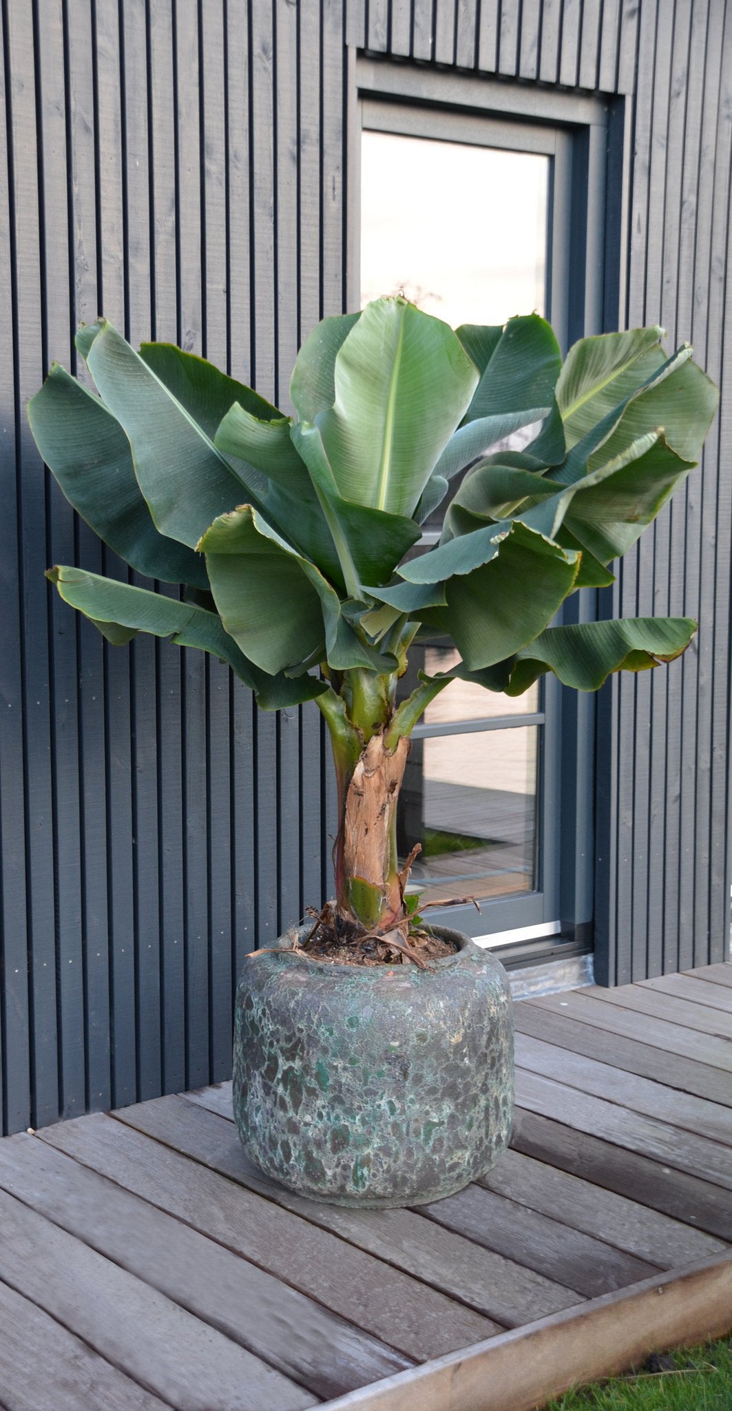 Plantenpot - Arenal relic jade