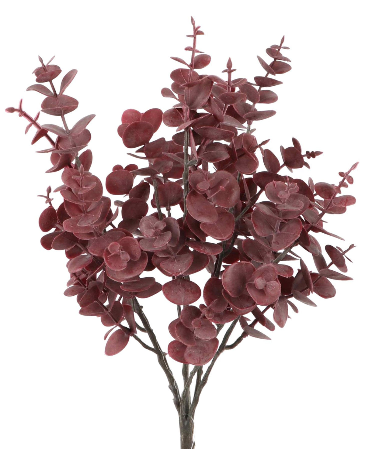 Eukalyptus 40cm violet