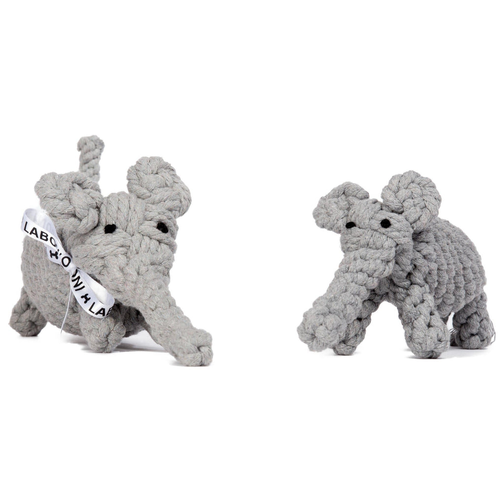 Pannenlappen Feline - set of 2