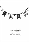 Een kleintje op komst - wenskaart