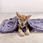 Cosy knuffeldeken voor honden