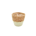 Stro mand met plastic 11x14/8cm naturel/licht groen