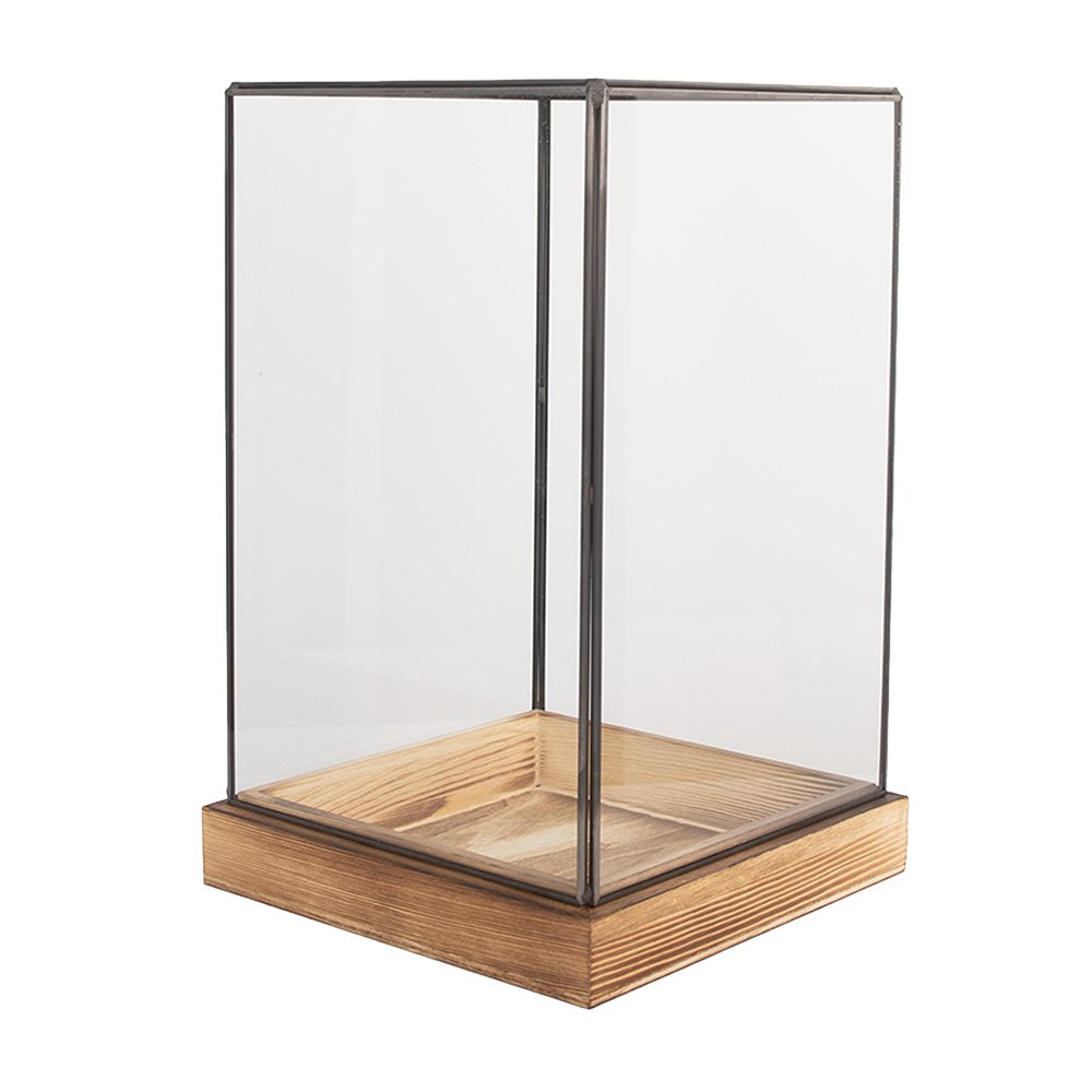 Decoratie Kweekkastje 19x19x30 cm transparant Glas
