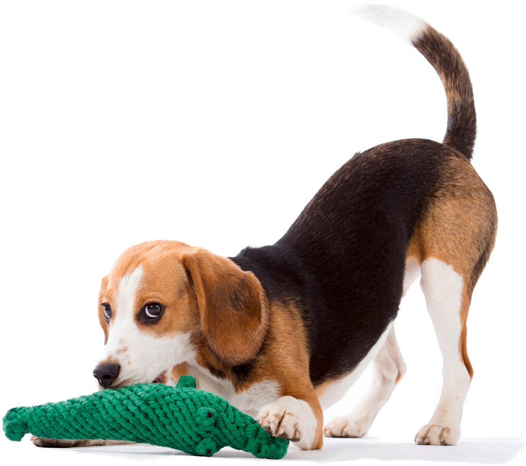 Kalli Krokodil - cultspeelgoed voor honden