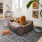 Oxford I Klassieke Hundebett