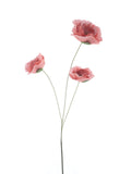 Poppy spray Hardy pink 70cm