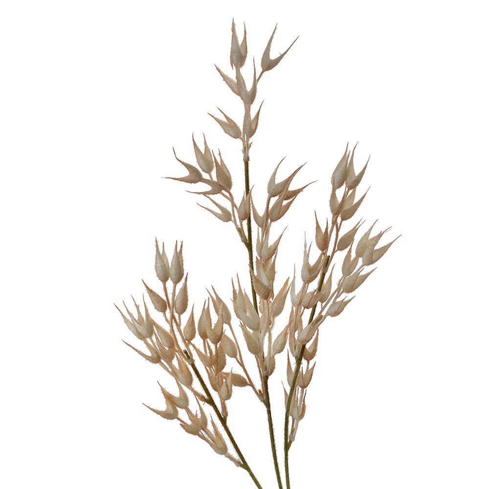 Kunstbloem 72 cm Beige Kunststof