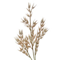 Kunstbloem 72 cm Beige Kunststof