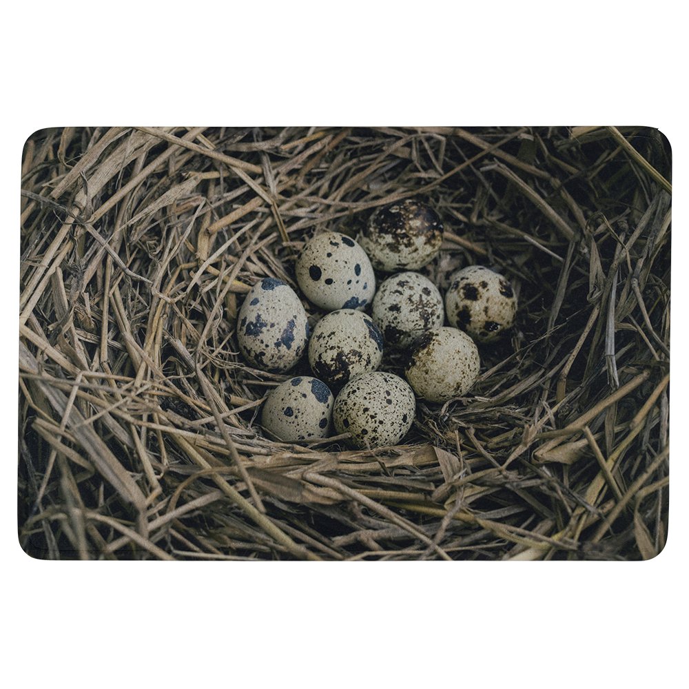 Deurmat eieren in nest 75x50cm