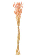 J-Line Bundel Hazenstaart Gedroogd Licht Roze