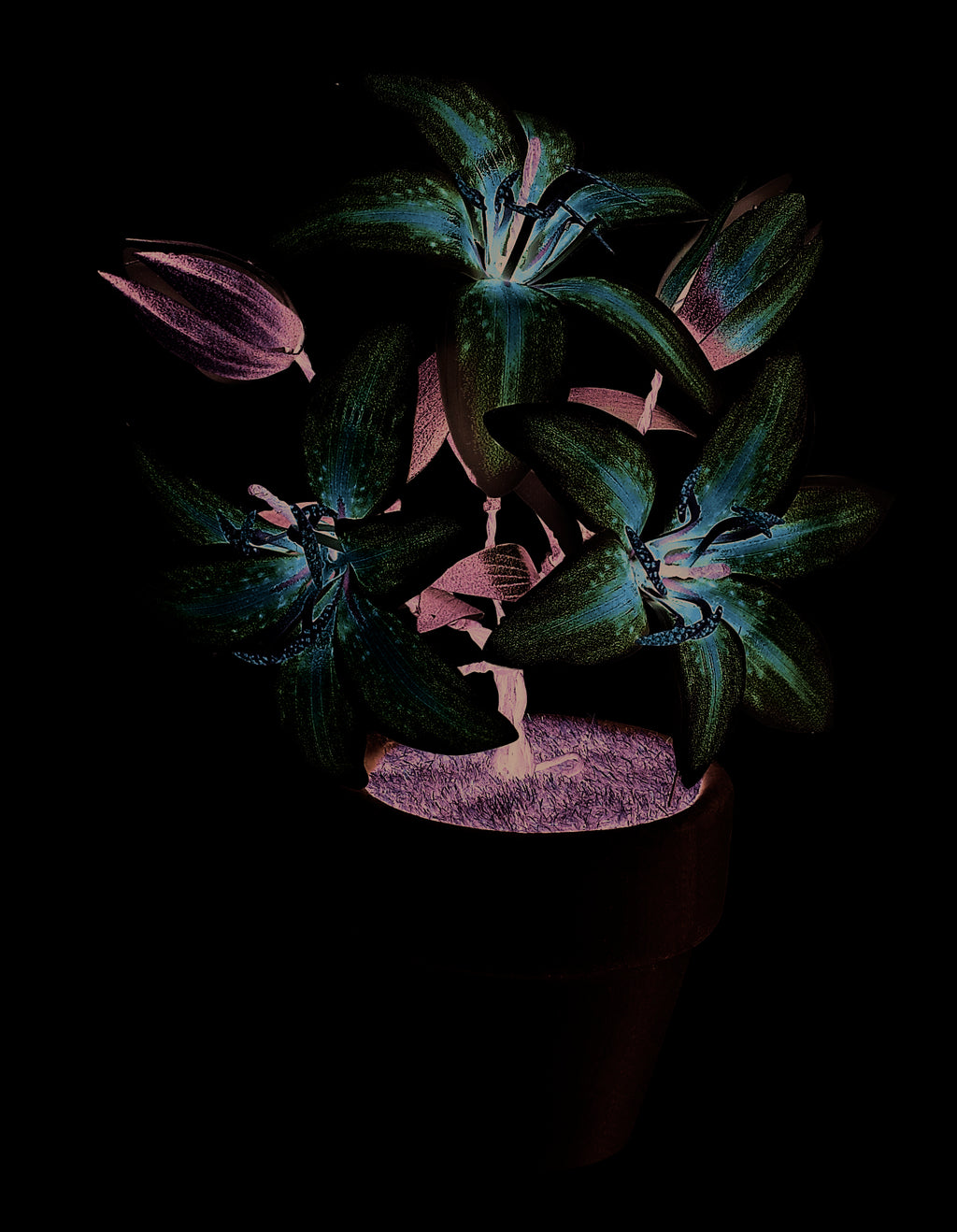 Bouwpakket 3D Model DIY Roze Lelies in Pot- gekleurd- metaal