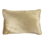 Groot kussen fluweel goud 40x60cm