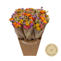 Market More Droogbloemen Boeket – Multi